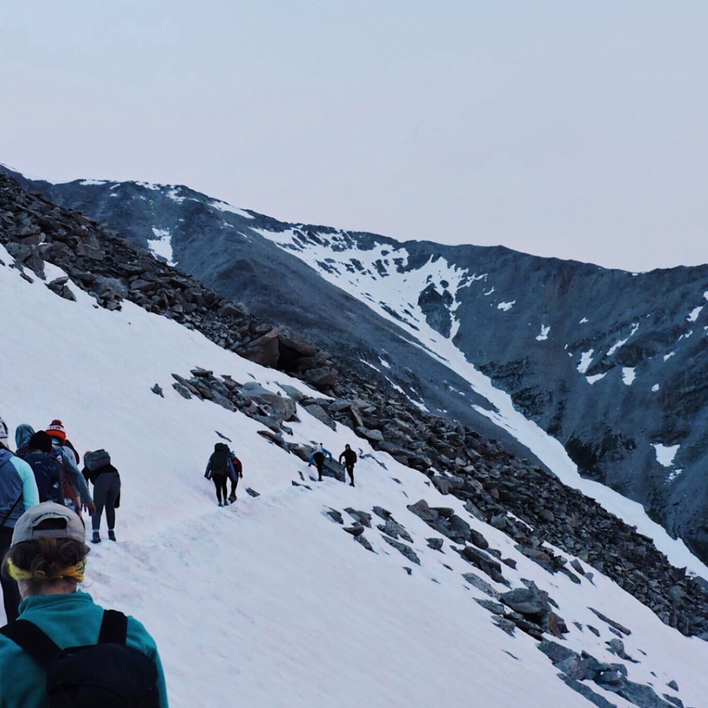 Meet your Posher, Sophia